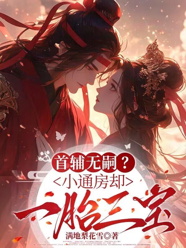 已完结小说《首辅无嗣?小通房却一胎三宝》在线章节阅读